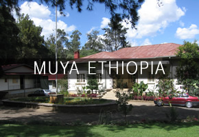 MUYA ETHIOPIA